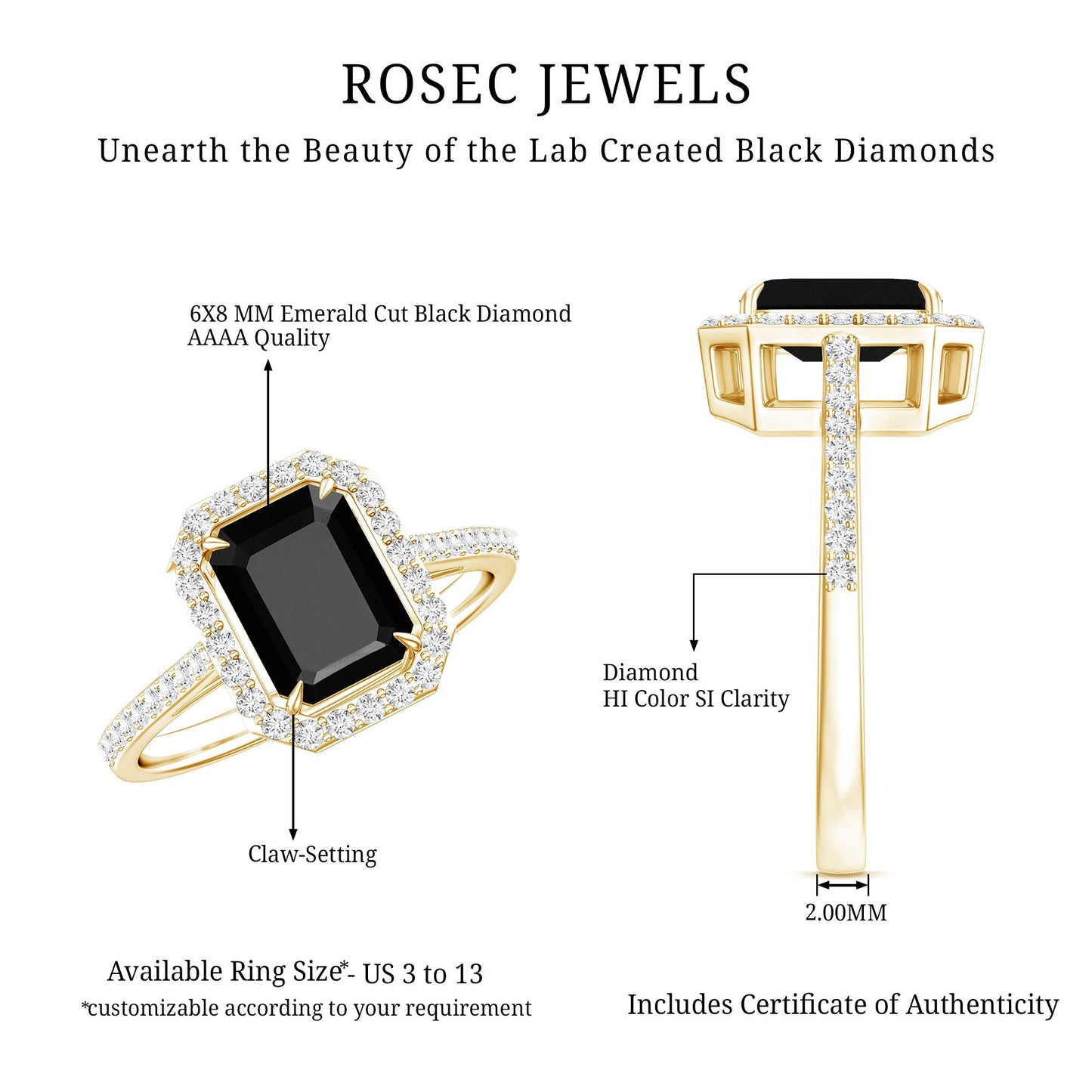 1.6 Carat Lab Grown Black and White Diamond Emerald Cut Engagement Ring with Halo