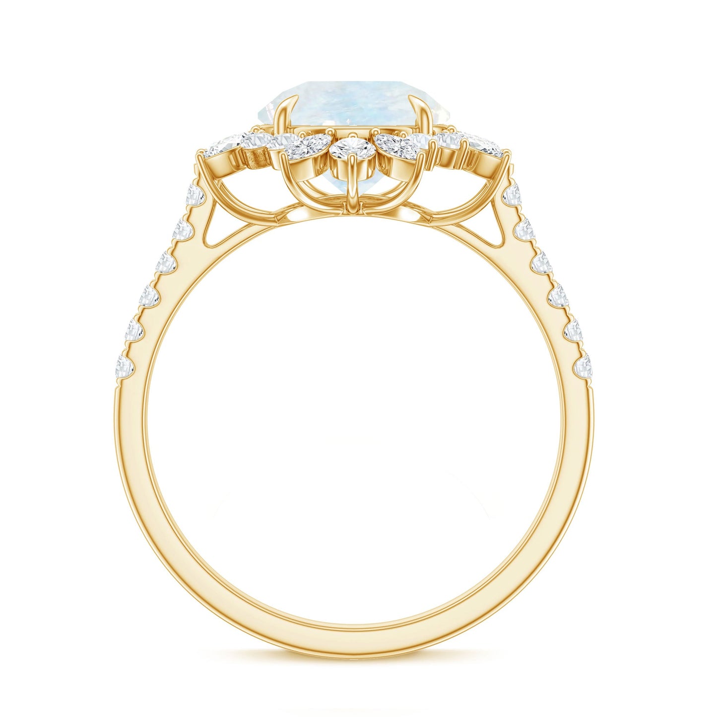 Round Moonstone Statement Ring with Moissanite Floral Halo