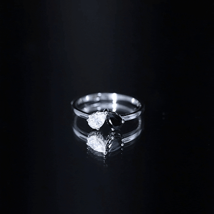 Lab Created Black and White Diamond 2 Stone Ring