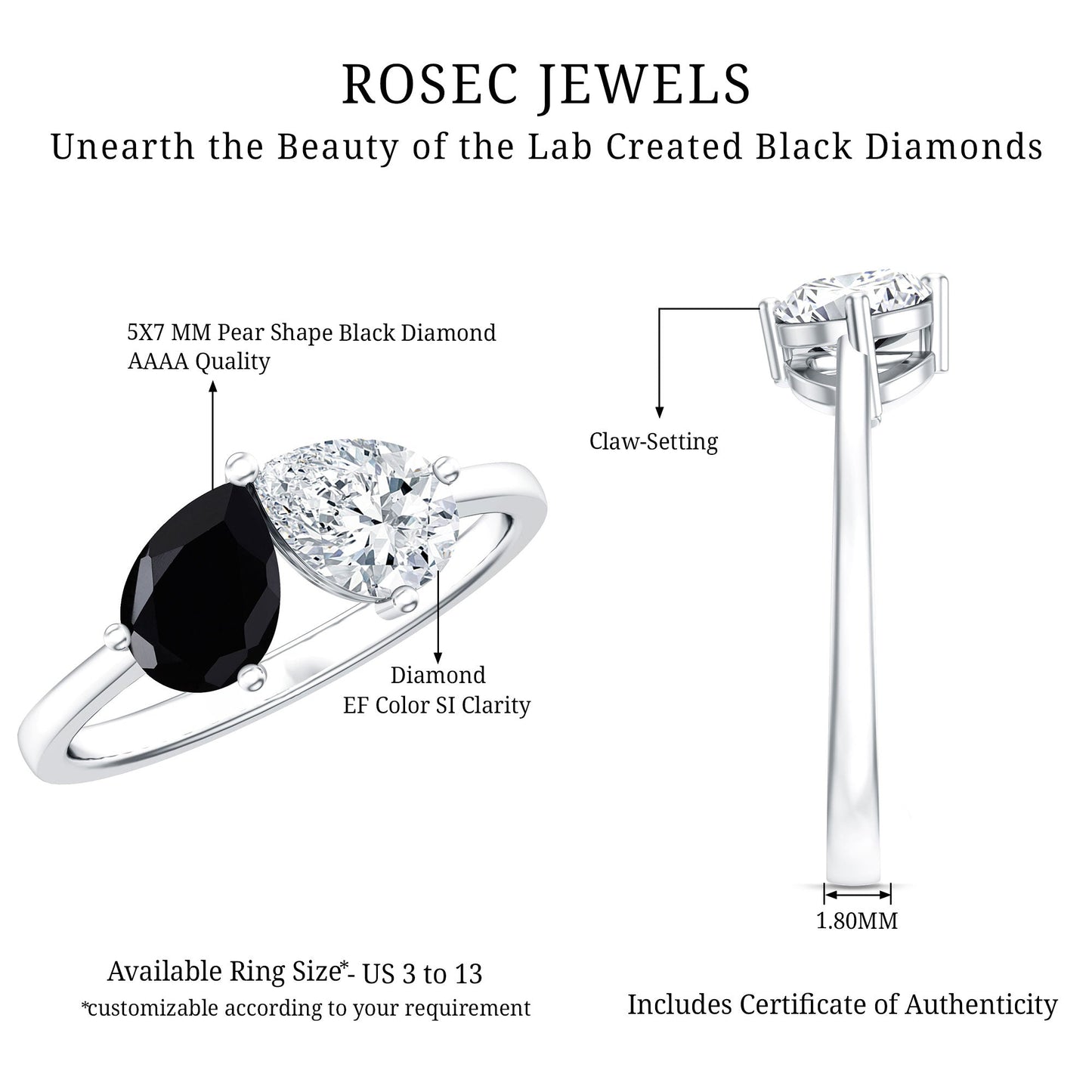 Lab Created Black and White Diamond 2 Stone Ring