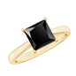 1 Carat Princess Cut Lab Grown Black Diamond Engagement Ring with Surprise White Diamond