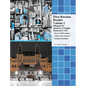 First Russian Reader Volume 2: Bilingual for Speakers of English Elementary (A2) - Hardcover