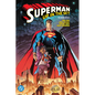 Superman: Up in the Sky: The Deluxe Edition - Hardcover