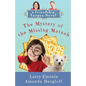 The Mystery of the Missing Matzah - Paperback