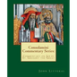 Consolamini Commentary Series: Commentary on Job by St. Gregory the Great - Paperback