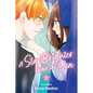 A Star Brighter Than the Sun, Vol. 3 - Paperback