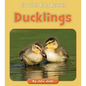 Ducklings - Paperback