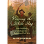 Raising the White Flag: How Surrender Defined the American Civil War - Paperback