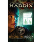 Among the Hidden - Paperback