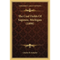 The Coal Fields Of Saginaw, Michigan (1898) - Paperback