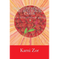 Using the Holistic Astrological Cards: The Illustrated guide - Paperback