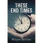 These End Times: Reconsidering Our Perceptions of What Lies Ahead! - Paperback