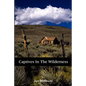 Captives in the Wilderness - Paperback