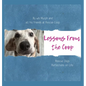 Lessons From the Coop: Rescue Dogs Reflections on life - Hardcover