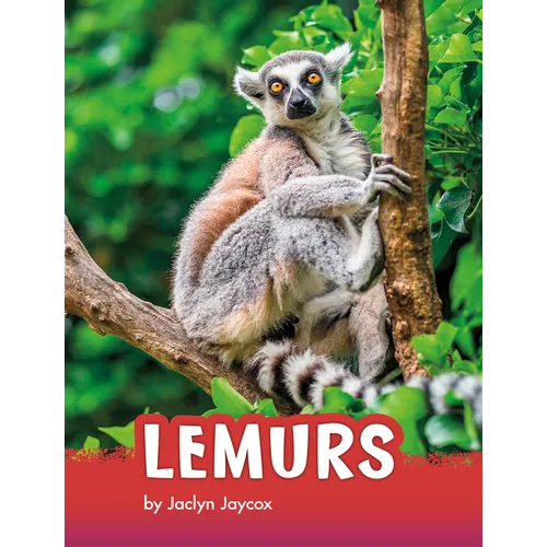 Lemurs - Hardcover
