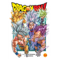 Dragon Ball Super, Vol. 24 - Paperback