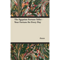 The Egyptian Fortune Teller - Your Fortune for Every Day - Paperback