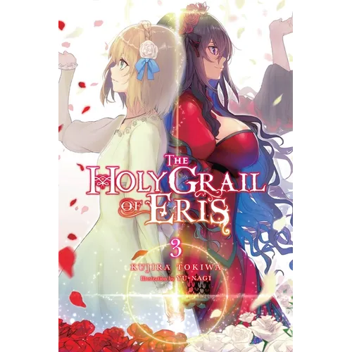 The Holy Grail of Eris, Vol. 3 (Light Novel) - Paperback