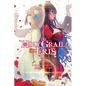 The Holy Grail of Eris, Vol. 3 (Light Novel) - Paperback