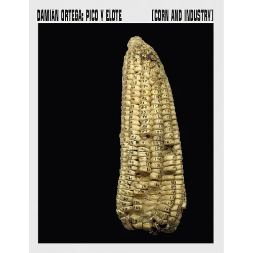 Damián Ortega: Corn and Industry - Paperback