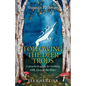 Shaman Pathways - Following the Deer Trods - Paperback