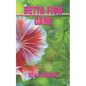 Betta Fish Care: A Simple Guide Book To Care, Feed And House Your Betta Fish - Paperback