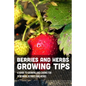 Berries And Herbs Growing Tips: A Guide To Growing And Caring For Perennial Berries And Herbs: Guide To Growing Perennial Herbs - Paperback
