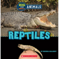 Reptiles (Wild World: Big and Small Animals) - Paperback