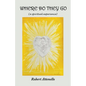 Where Do They Go: A Spiritual Experience - Paperback