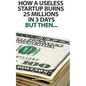 How a useless startup burns 25 millions in 3 days: but then... - Paperback