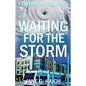 Waiting for the Storm: A Green New Deal Novel - Paperback