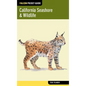 California Seashore & Wildlife - Paperback