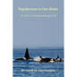 Togetherness is Our Home: An Orca's Journey through Life - Paperback