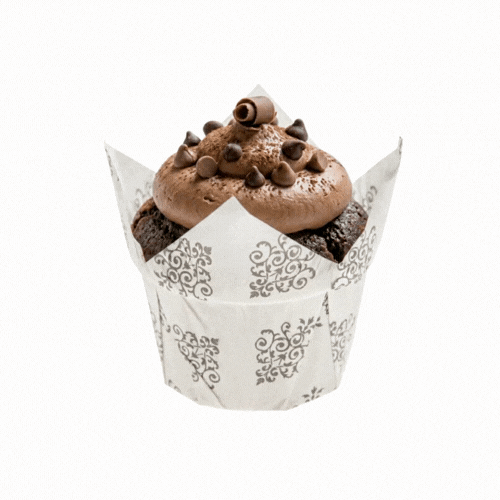 Panificio 1 oz Tulip Vintage Floral Paper Regular Baking Cup - 3" x 3" x 3 1/2" - 200 count box