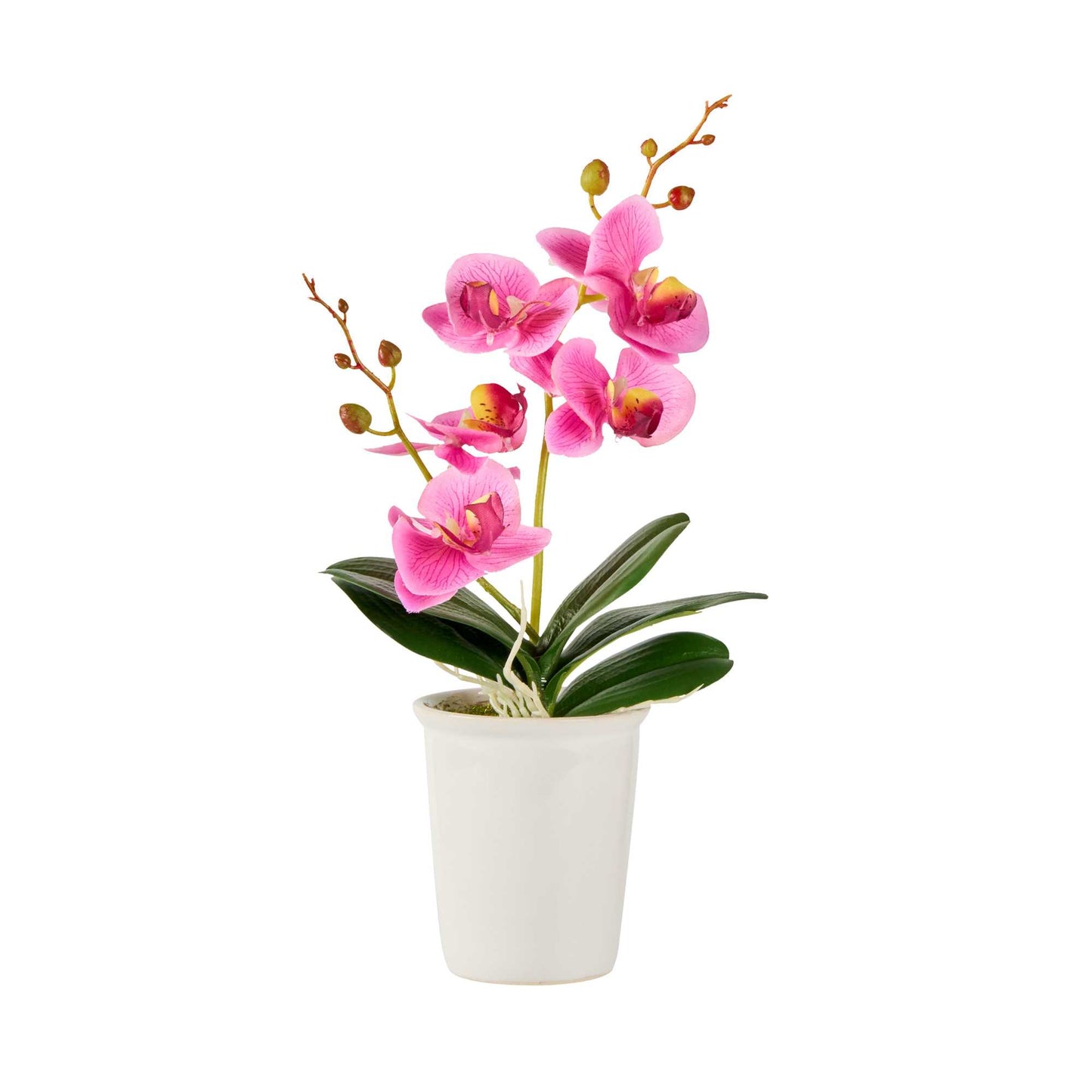 Fiore Purple Plastic Orchid in Porcelain Pot - 5 Blooms - 4" x 4" x 14" - 1 count box