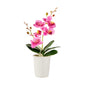 Fiore Purple Plastic Orchid in Porcelain Pot - 5 Blooms - 4" x 4" x 14" - 1 count box