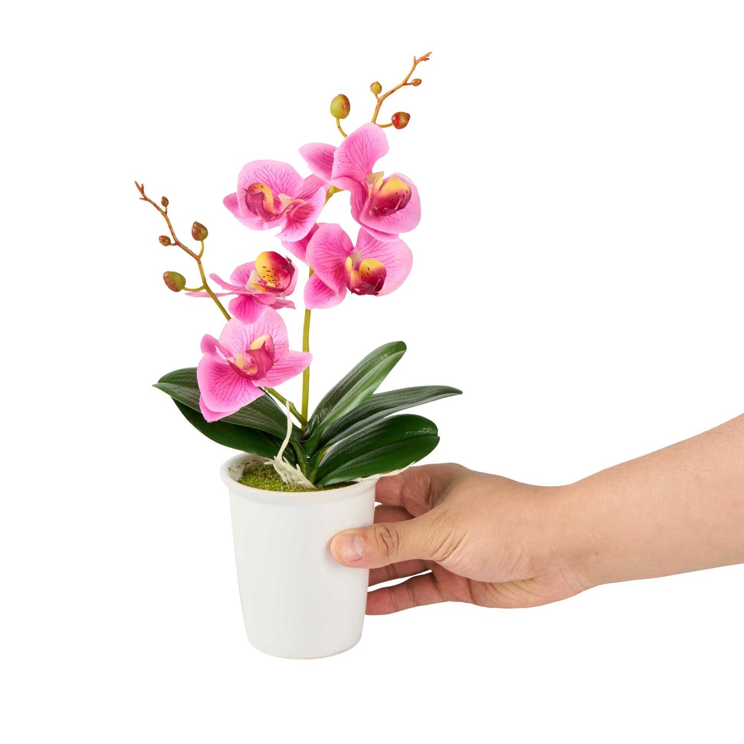 Fiore Purple Plastic Orchid in Porcelain Pot - 5 Blooms - 4" x 4" x 14" - 1 count box