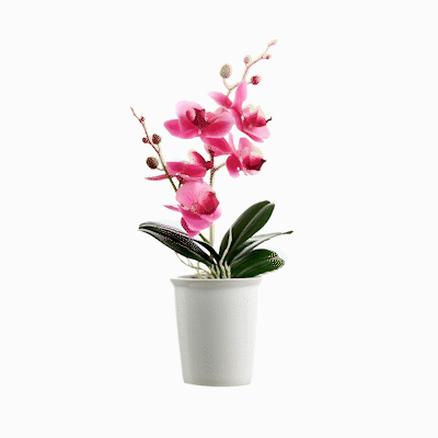 Fiore Purple Plastic Orchid in Porcelain Pot - 5 Blooms - 4" x 4" x 14" - 1 count box