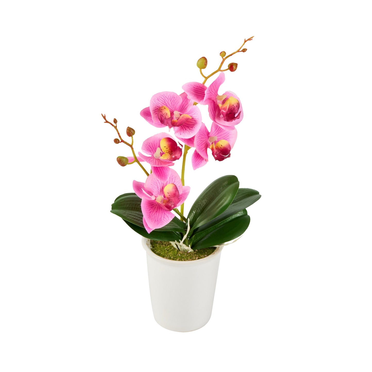 Fiore Round Purple Plastic Orchid in Porcelain Pot - 5 Blooms - 4" x 4" x 14" - 12 count box