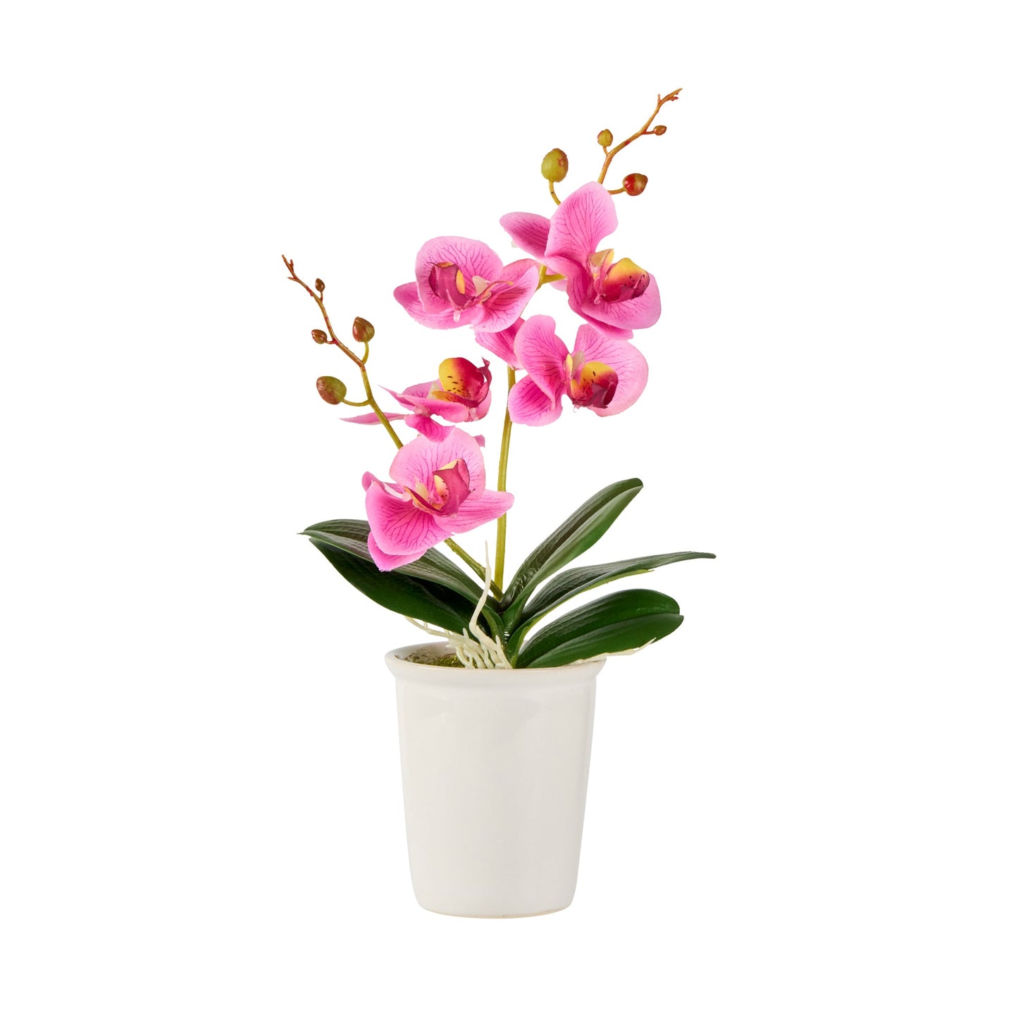 Fiore Round Purple Plastic Orchid in Porcelain Pot - 5 Blooms - 4" x 4" x 14" - 12 count box