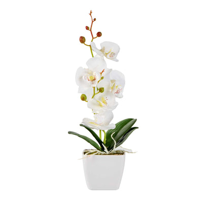 Fiore White Plastic Orchid in Plastic Pot - 5 blooms - 4" x 4" x 13" - 1 count box