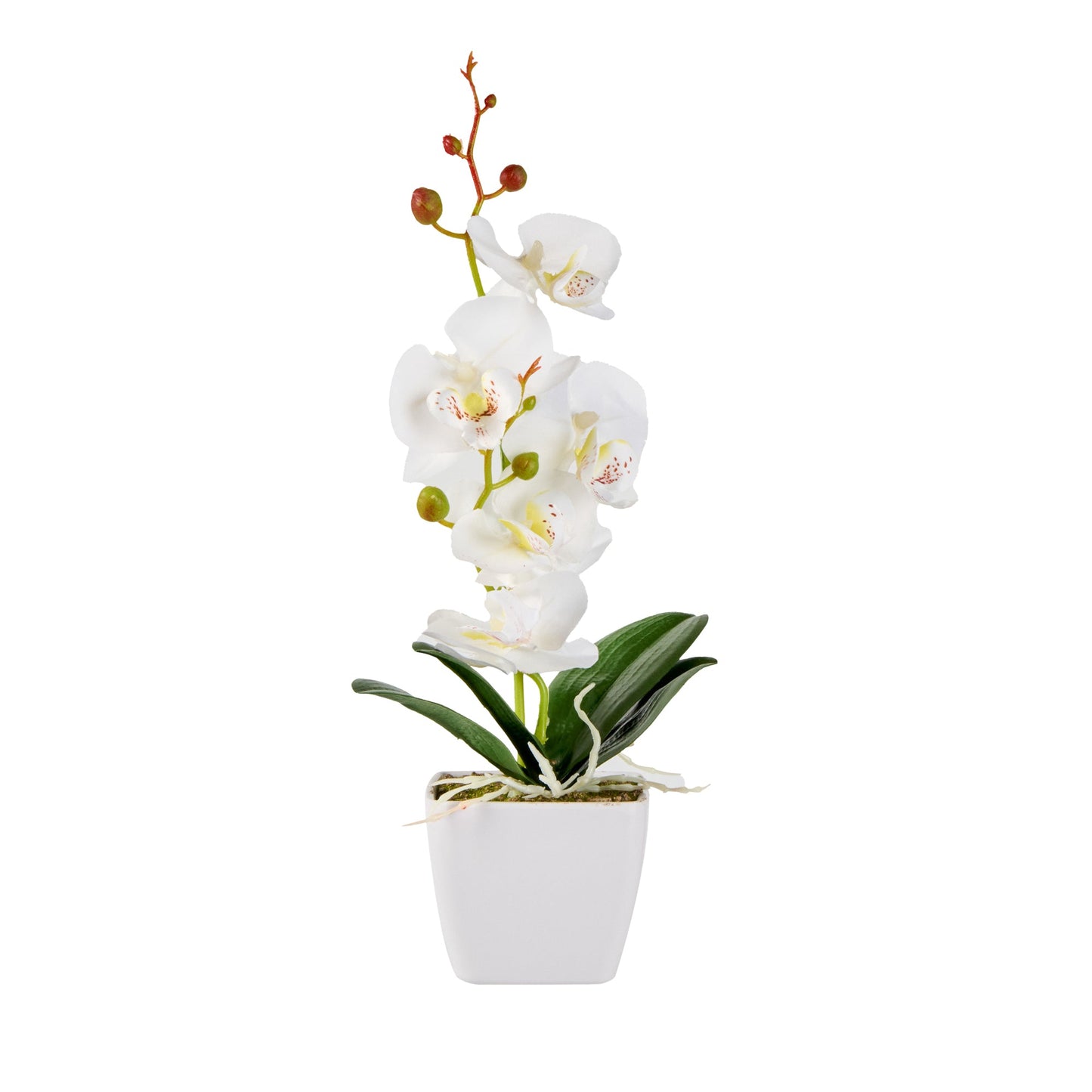 Fiore White Plastic Orchid in Plastic Pot - 5 Blooms - 4" x 4" x 13" - 12 count box