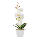 Fiore White Plastic Orchid in Plastic Pot - 5 Blooms - 4" x 4" x 13" - 12 count box