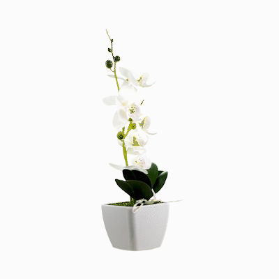 Fiore White Plastic Orchid in Plastic Pot - 5 Blooms - 4" x 4" x 13" - 12 count box