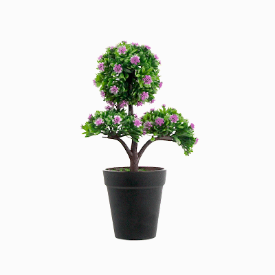Fiore Purple Plastic Mini Crape Myrtle in Plastic Pot - 7 1/2" x 4" x 11" - 1 count box