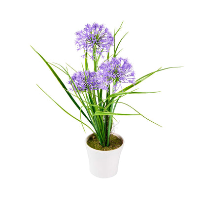 Fiore Violet Plastic Violet Allium in Plastic Pot - 4" x 4" x 14" - 1 count box