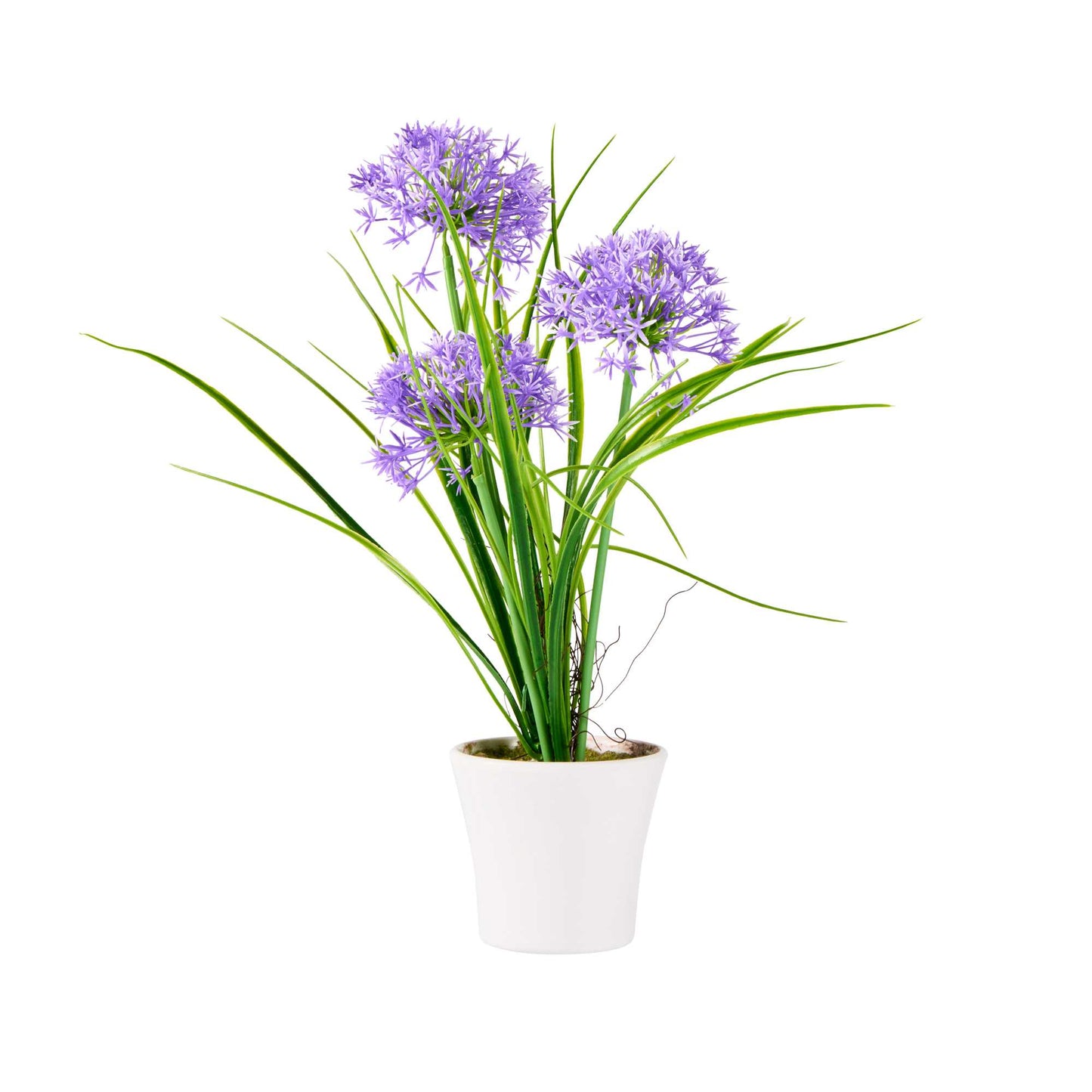 Fiore Violet Plastic Violet Allium in Plastic Pot - 4" x 4" x 14" - 1 count box