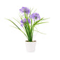 Fiore Violet Plastic Violet Allium in Plastic Pot - 4" x 4" x 14" - 1 count box