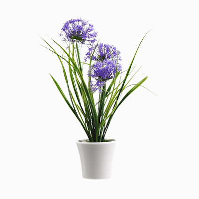 Fiore Violet Plastic Violet Allium in Plastic Pot - 4" x 4" x 14" - 1 count box
