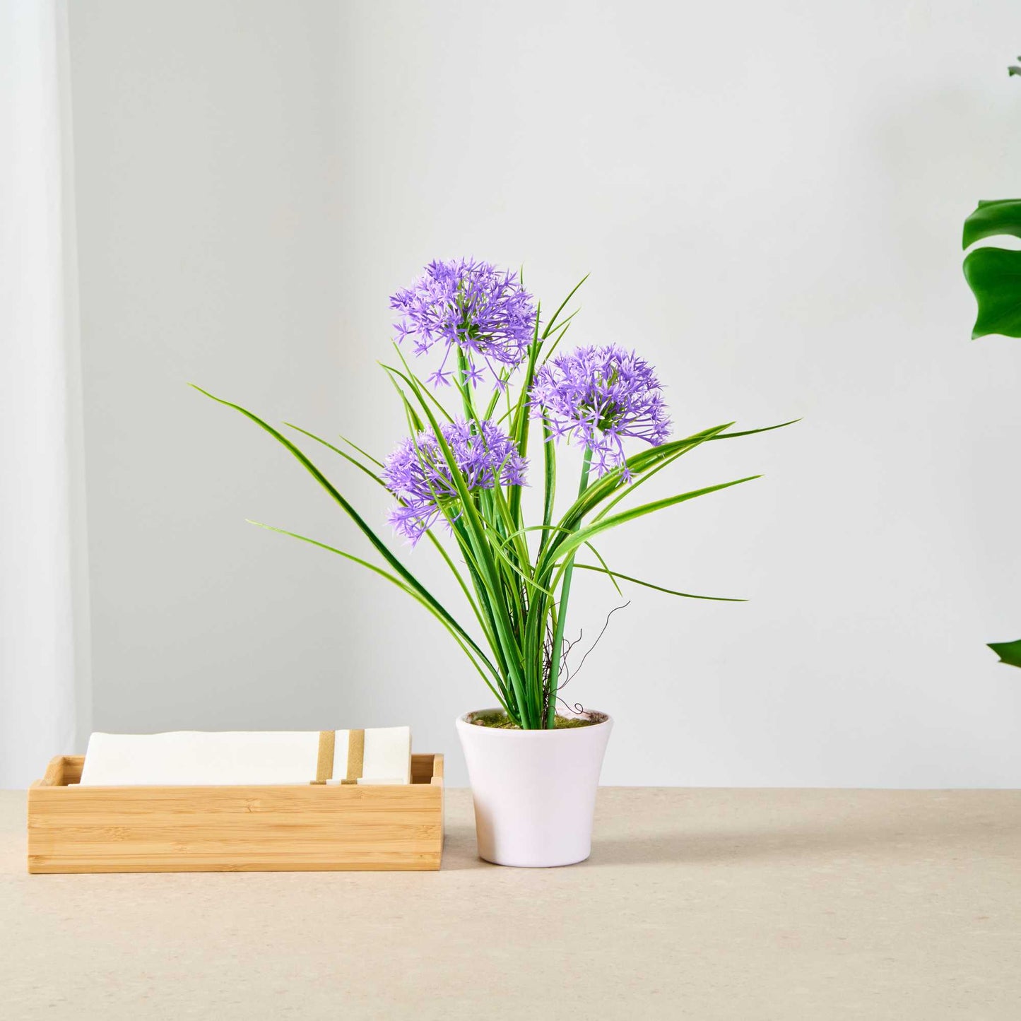 Fiore Violet Plastic Violet Allium in Plastic Pot - 4" x 4" x 14" - 1 count box